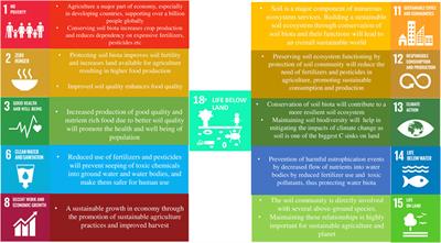 Life below land: the need for a new sustainable development goal
